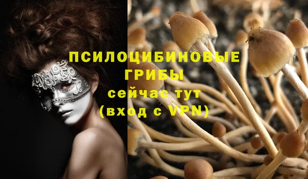 кокс Абинск